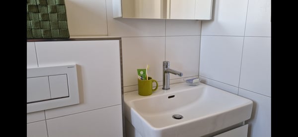 3 ZI-WOHNUNG IN URDORF (ZH), MÖBLIERT, TEMPORÄR 6