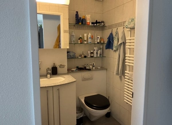 3½ ZI-WOHNUNG IN BOLLIGEN (BE), MÖBLIERT, TEMPORÄR 8