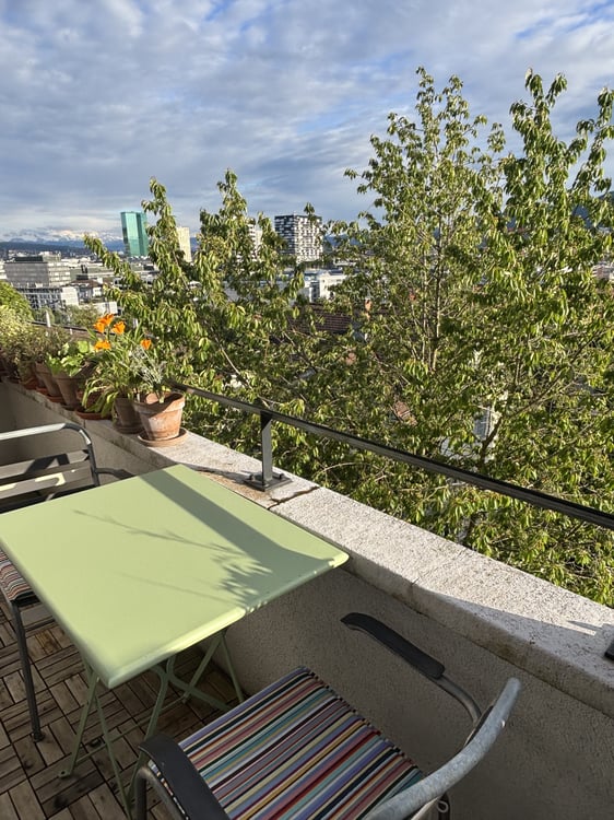 2 ZI-WOHNUNG IN ZÜRICH - KREIS 10, MÖBLIERT, TEMPORÄR 7