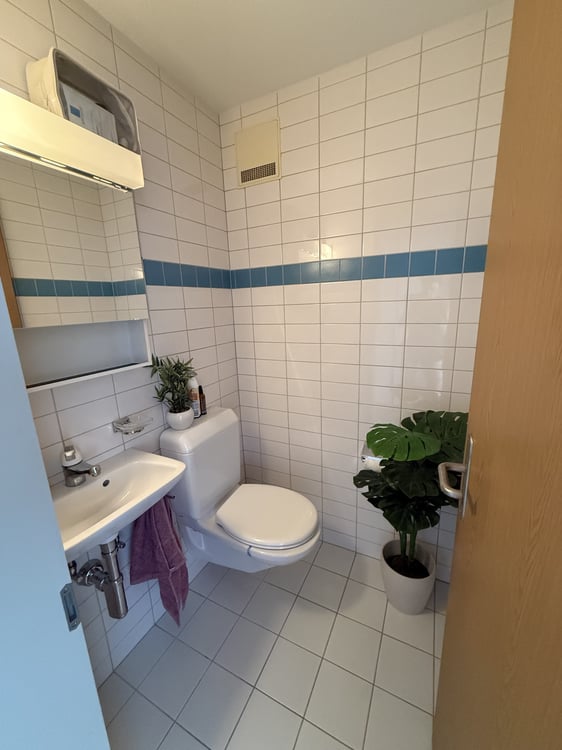 2½ ZI-WOHNUNG IN BERN - MONBIJOU, MÖBLIERT, TEMPORÄR 6
