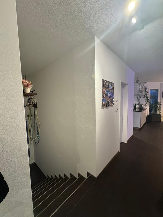 4½ ZI-WOHNUNG IN BRÜTTISELLEN (ZH), MÖBLIERT, TEMPORÄR 4