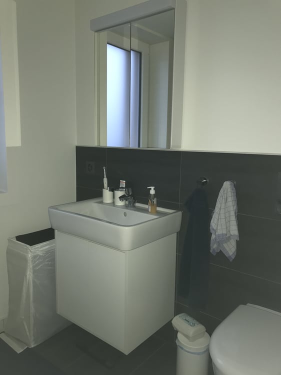 3½ ZIMMER-DACHWOHNUNG IN KERZERS (FR), MÖBLIERT, TEMPORÄR 8