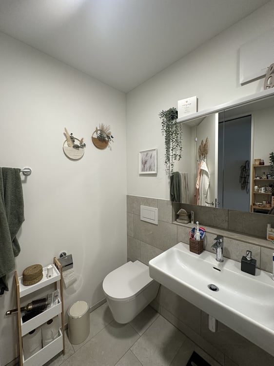 2½ ZI-WOHNUNG IN MÜNCHENSTEIN (BL), MÖBLIERT, TEMPORÄR 5