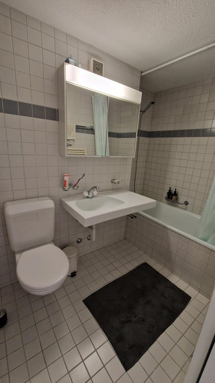 2½ ZI-WOHNUNG IN ZÜRICH - KREIS 10 RÜTIHOF, MÖBLIERT, TEMPORÄR 7