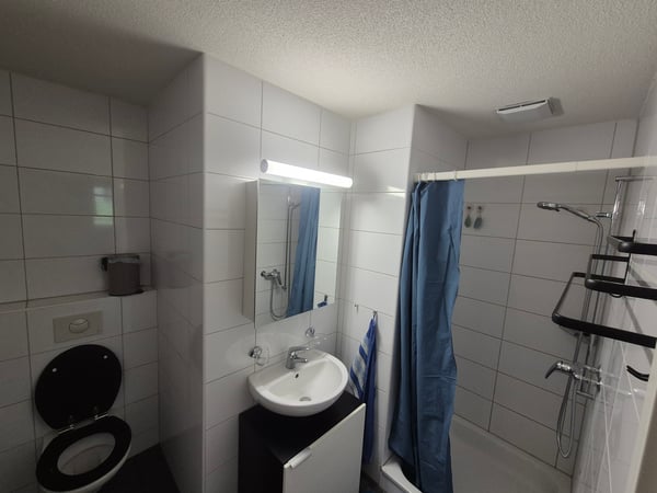3½ ZI-WOHNUNG IN GEBENSTORF (AG), MÖBLIERT, TEMPORÄR 7