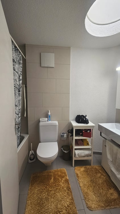2½ ZI-WOHNUNG IN CHAM (ZG), MÖBLIERT, TEMPORÄR 5