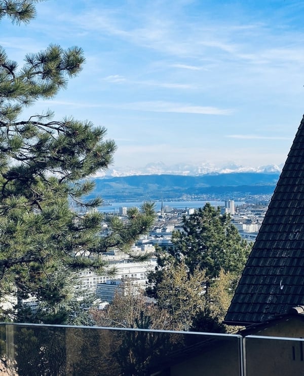 3½ ZI-WOHNUNG IN ZÜRICH - KREIS 10 HÖNGG, MÖBLIERT, TEMPORÄR 4