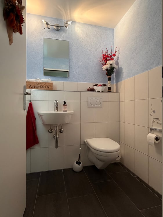 5½ ZIMMER-HAUS IN WETZIKON (ZH), MÖBLIERT, TEMPORÄR 11