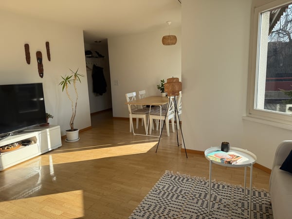 3½ ZIMMER-ATTIKAWOHNUNG IN ZÜRICH - KREIS 2 ENGE, MÖBLIERT, TEMPORÄR 3