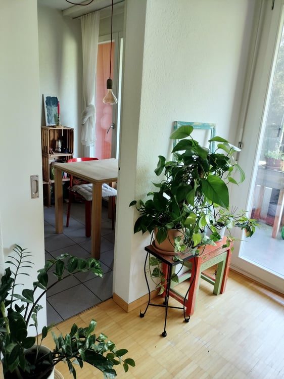STUDIO IN BERN - OBSTBERG/SCHOSSHALDE, MÖBLIERT, TEMPORÄR 3