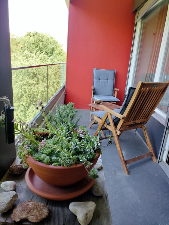 STUDIO IN BERN - OBSTBERG/SCHOSSHALDE, MÖBLIERT, TEMPORÄR 2