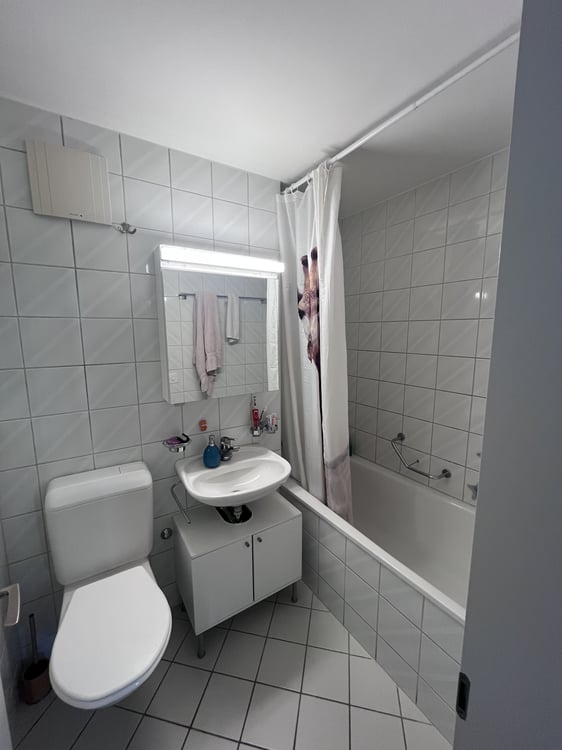2 ZI-WOHNUNG IN BERN - MATTE, MÖBLIERT, TEMPORÄR 6