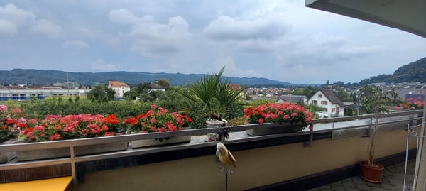 3½ ZI-WOHNUNG IN WÜRENLOS (AG), MÖBLIERT, TEMPORÄR 1