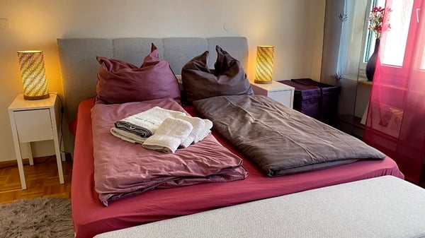 3 ZI-WOHNUNG IN BASEL - GELLERT/ST. ALBAN, MÖBLIERT, TEMPORÄR 5