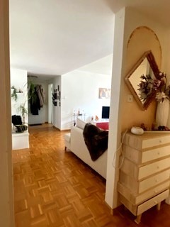 3 ZI-WOHNUNG IN BASEL - GELLERT/ST. ALBAN, MÖBLIERT, TEMPORÄR 8