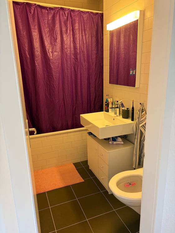 3½ ZI-WOHNUNG IN BERN - OSTERMUNDIGEN, MÖBLIERT, TEMPORÄR 5