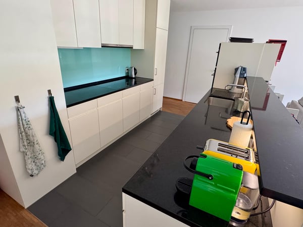 4½ ZI-WOHNUNG IN LUZERN, MÖBLIERT, TEMPORÄR 2