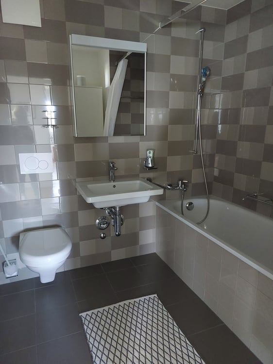 2½ ZI-WOHNUNG IN GOLDACH (SG), MÖBLIERT, TEMPORÄR 6