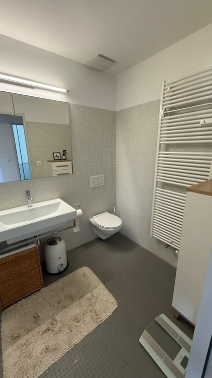 2½ ZIMMER-LOFT IN BASEL - ST. JOHANN, MÖBLIERT, TEMPORÄR 9
