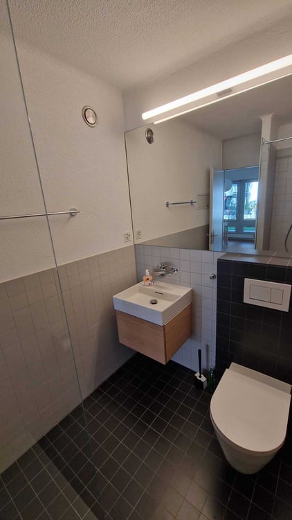 4½ ZI-WOHNUNG IN ZÜRICH - KREIS 10 HÖNGG, MÖBLIERT, TEMPORÄR 9
