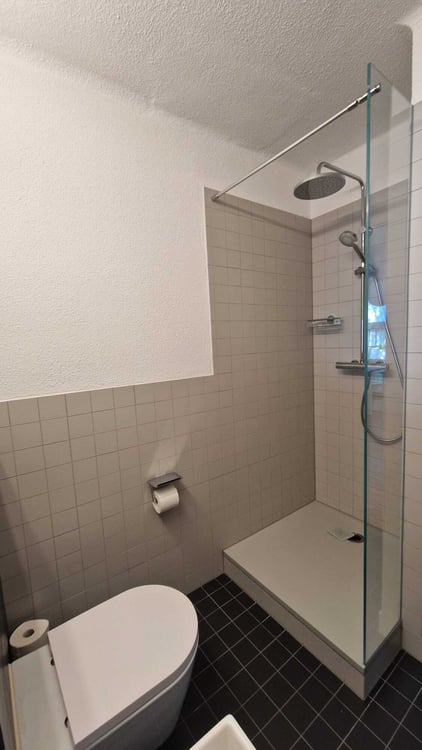 4½ ZI-WOHNUNG IN ZÜRICH - KREIS 10 HÖNGG, MÖBLIERT, TEMPORÄR 7