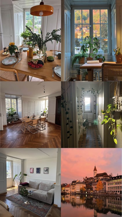 3½ ZI-WOHNUNG IN THUN (BE), MÖBLIERT, TEMPORÄR 10