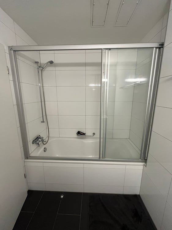2½ ZI-WOHNUNG IN THUN (BE), MÖBLIERT, TEMPORÄR 7