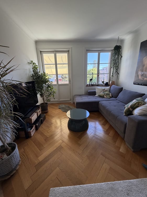 2 ZI-WOHNUNG IN BASEL - ST. JOHANN, MÖBLIERT, TEMPORÄR 4