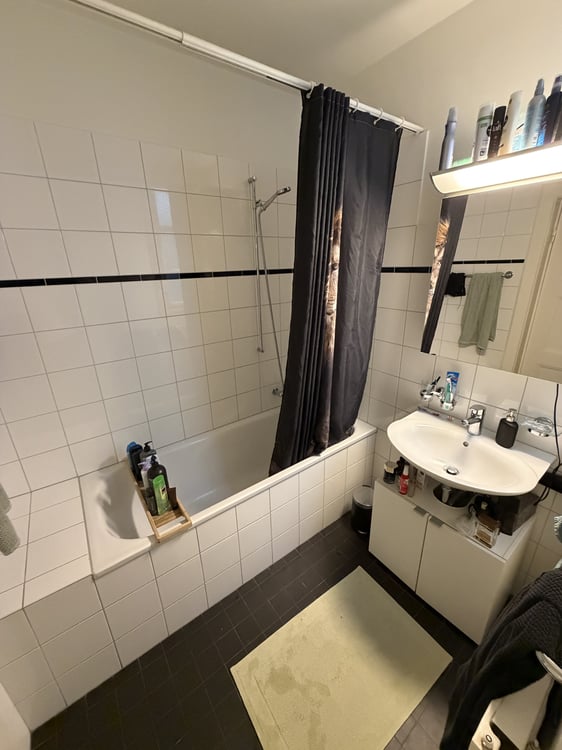 2 ZI-WOHNUNG IN BASEL - ST. JOHANN, MÖBLIERT, TEMPORÄR 8