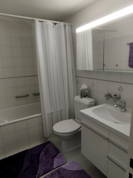 2½ ZIMMER-ATTIKAWOHNUNG IN AU (ZH), MÖBLIERT, TEMPORÄR 9