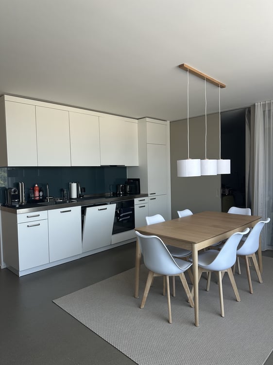2½ ZI-WOHNUNG IN BASEL - GUNDELDINGEN, MÖBLIERT, TEMPORÄR 1