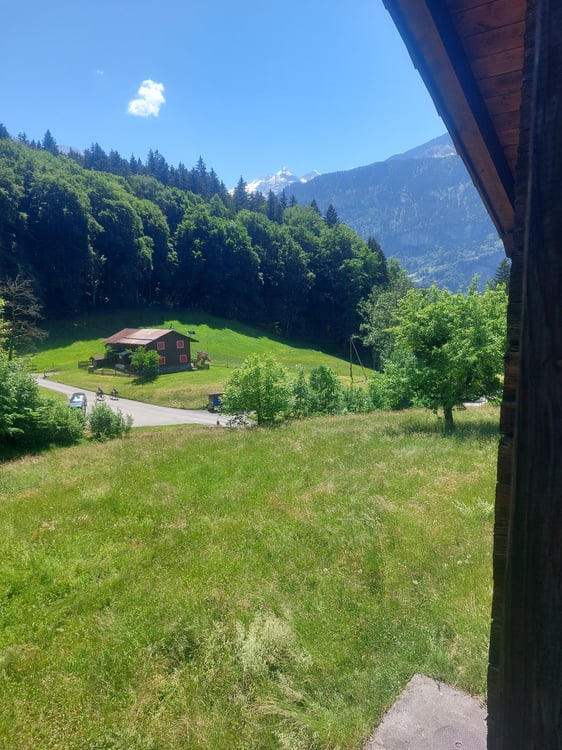 3 ZI-WOHNUNG IN HASLIBERG HOHFLUH (BE), MÖBLIERT, TEMPORÄR 8