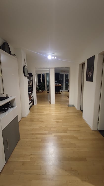 2½ ZI-WOHNUNG IN DÜBENDORF (ZH), MÖBLIERT, TEMPORÄR 9