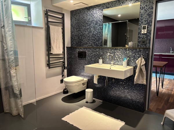 2½ ZI-WOHNUNG IN WINTERTHUR - WÜLFLINGEN, MÖBLIERT, TEMPORÄR 9
