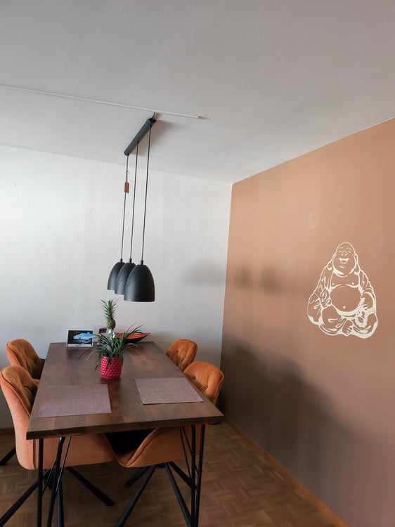2 ZI-WOHNUNG IN JONA (SG), MÖBLIERT, TEMPORÄR 2