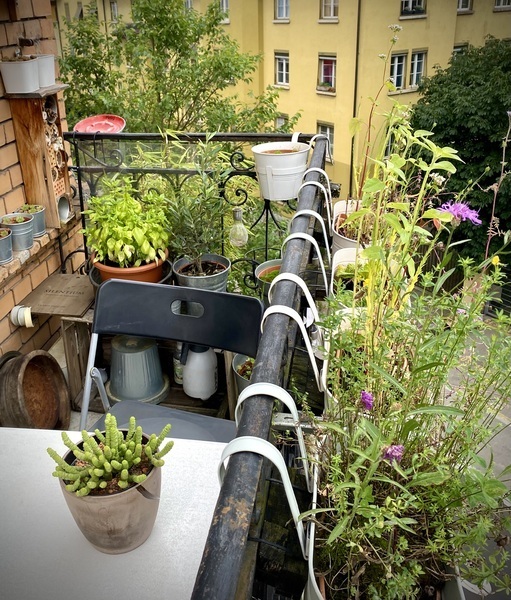 2½ ZI-WOHNUNG IN ZÜRICH - KREIS 5, MÖBLIERT, TEMPORÄR 10