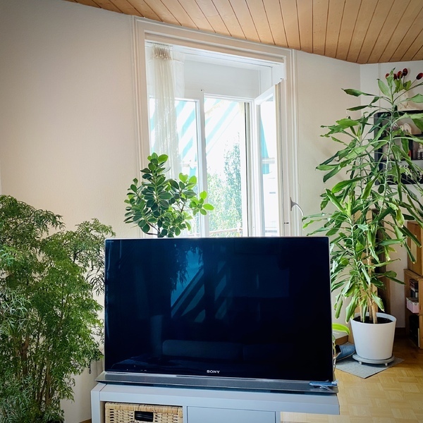 2½ ZI-WOHNUNG IN ZÜRICH - KREIS 5, MÖBLIERT, TEMPORÄR 7