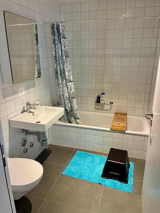 3½ ZI-WOHNUNG IN LUZERN, MÖBLIERT, TEMPORÄR 7