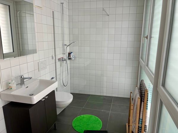 3½ ZI-WOHNUNG IN LUZERN, MÖBLIERT, TEMPORÄR 6