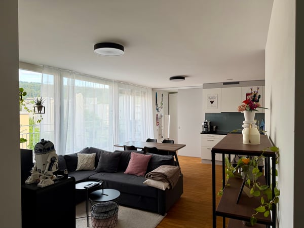 3½ ZI-WOHNUNG IN ZÜRICH - KREIS 12 HIRZENBACH, MÖBLIERT, TEMPORÄR 2