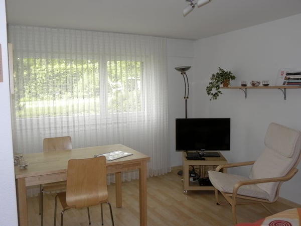 STUDIO IN BOLLIGEN (BE), MÖBLIERT 4