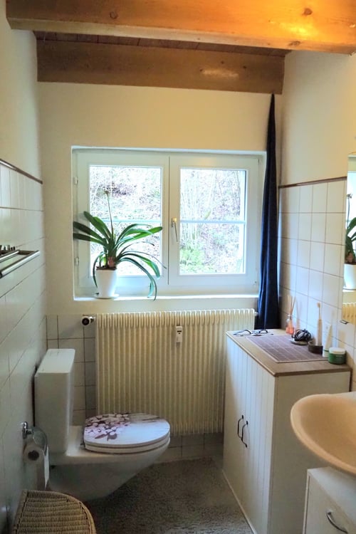 2½ ZI-WOHNUNG IN LÜTISBURG (SG), MÖBLIERT, TEMPORÄR 8