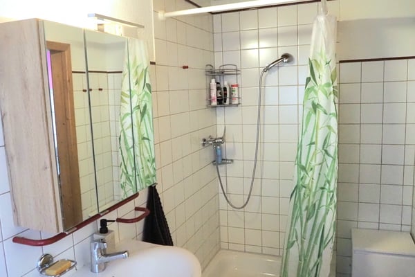 2½ ZI-WOHNUNG IN LÜTISBURG (SG), MÖBLIERT, TEMPORÄR 9