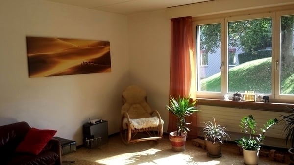 2½ ZI-WOHNUNG IN ADLISWIL (ZH), MÖBLIERT, TEMPORÄR 3