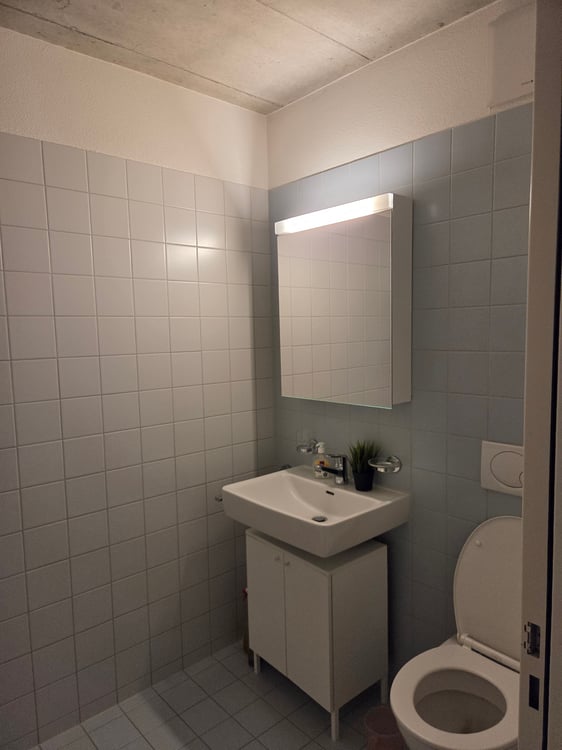 3½ ZI-WOHNUNG IN SCHLIEREN (ZH), MÖBLIERT, TEMPORÄR 10