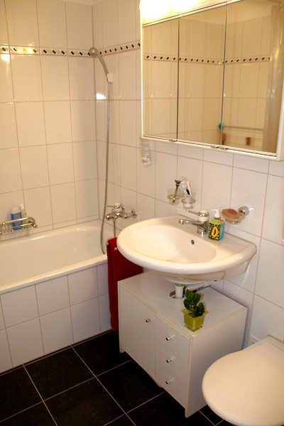 3½ ZI-WOHNUNG IN KLOTEN (ZH), MÖBLIERT, TEMPORÄR 6
