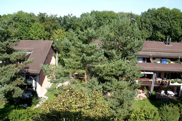 3½ ZI-WOHNUNG IN KLOTEN (ZH), MÖBLIERT, TEMPORÄR 10