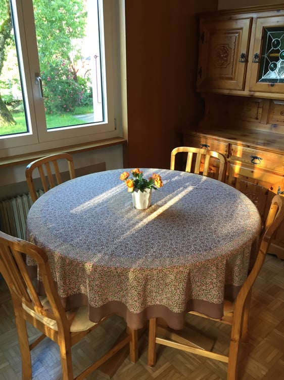 2 ZI-WOHNUNG IN HONDRICH (BE), MÖBLIERT, TEMPORÄR 3