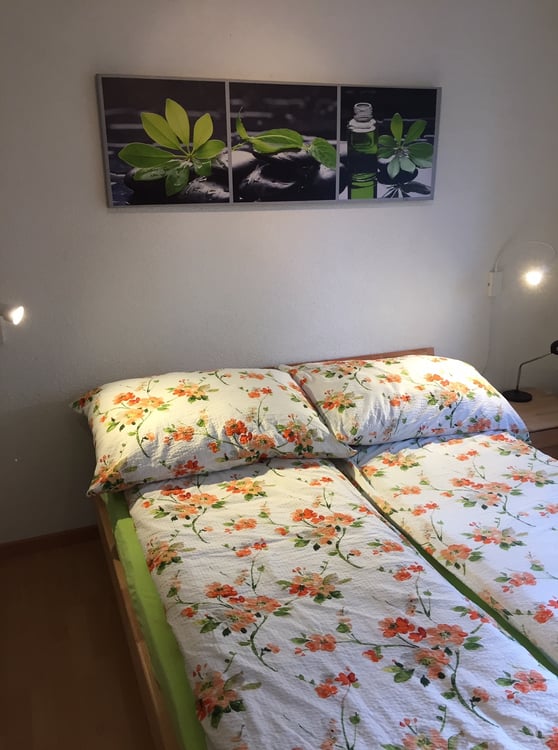 2 ZI-WOHNUNG IN HONDRICH (BE), MÖBLIERT, TEMPORÄR 2