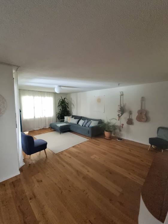 5½ ZIMMER-HAUS IN OBERNAU (LU), MÖBLIERT, TEMPORÄR 1